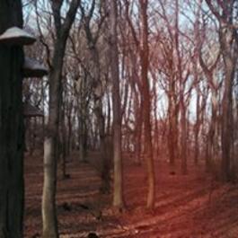 Valér Miko - V Prírode (suita pre Matku Zem), 22.4.2017 20:00