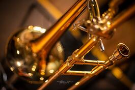 VLADO VIZÁR JAZZ TRIO v Botanickej záhrade, 8.7.2018 17:00