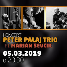 PETER PALAJ TRIO FEAT. MARIÁN ŠEVČÍK @JAZZ CITY CAFE, 5.3.2019 20:30