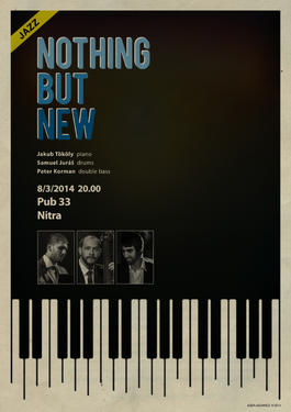 Koncert: Nothing but New Trio, Pub 33 Nitra, 8.3.2014 20:00