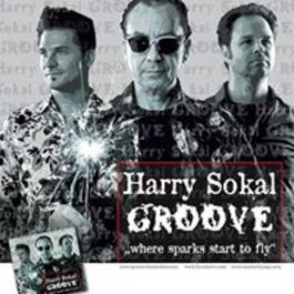VI. ročník Festivalu Doda Šošoku: Harry Sokal GROOVE feat.  Raphael Wressnig (AT), 14.6.2014 22:00