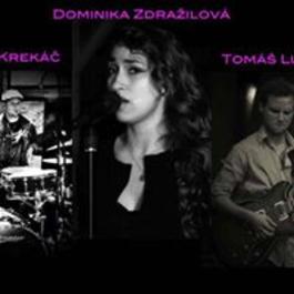 Dominika Zdražilová Trio (feat. Tomáš Lukáč & Matej Krekáč), 31.7.2014 20:00