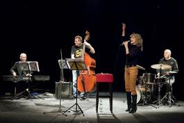 Šansónový večer Jany Hubinskej , 12.12.2014 20:30