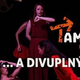 TAMTi Impro │ Divuplný svět žen!, 20.1.2016 19:00