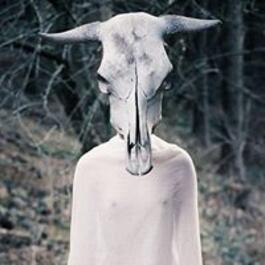 Vernisáž: Ondra Nosek, 23.1.2016 20:00