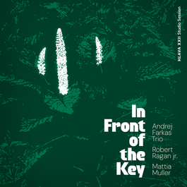 Andrej Farkaš Trio – In Front of the Key