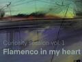 Curiosity session Vol.1 – Flamenco in My Heart 
