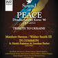 Koncert Sound of Peace na podporu Ukrajiny