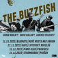Jesenné menu? Čo takto The Buzzfish – Borlai / Feliciati / Kollar 