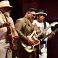 Chicago Blues Festival: tradice, současnost a budoucnost blues