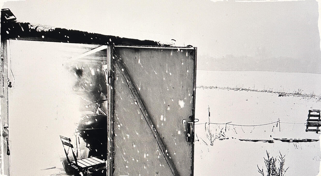 Pohľady Davida Kollara cez zamrznuté okno