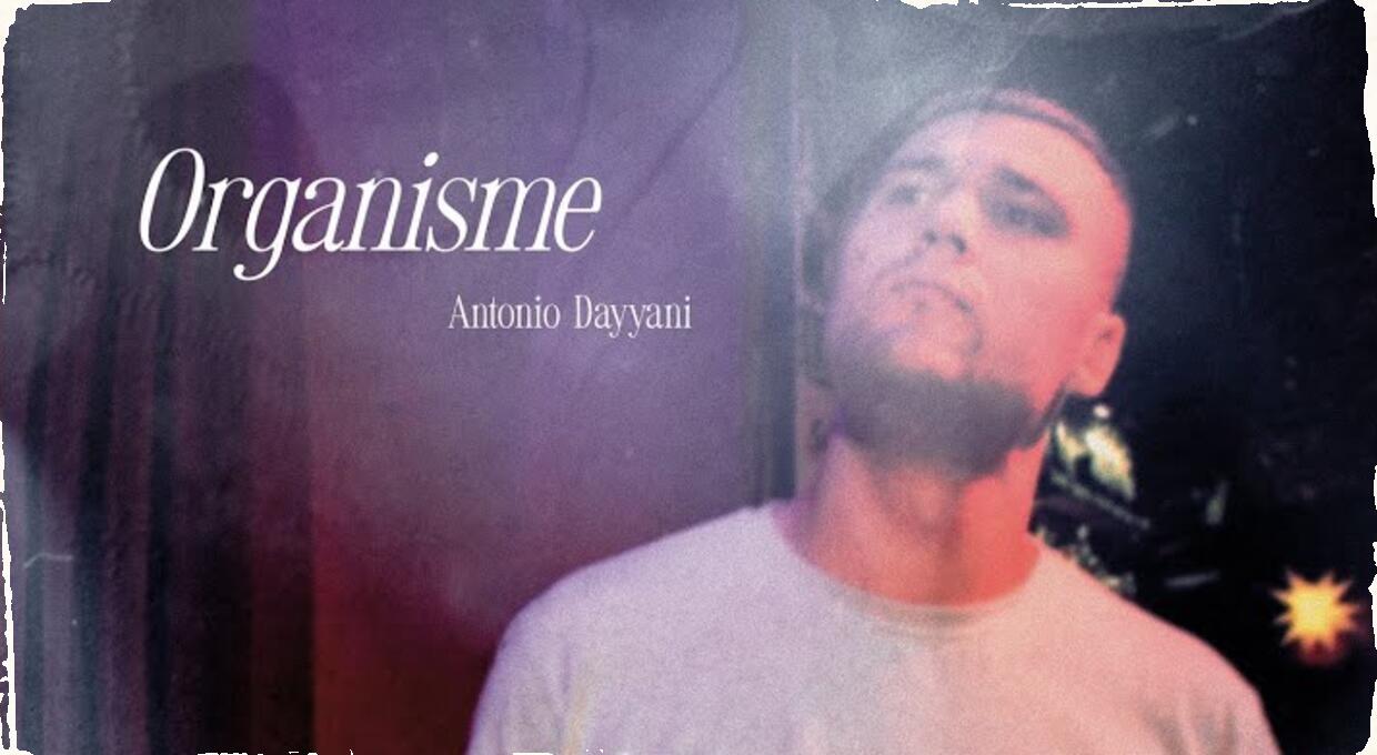 Autentická hravosť - Antonio Dayyani: Organisme