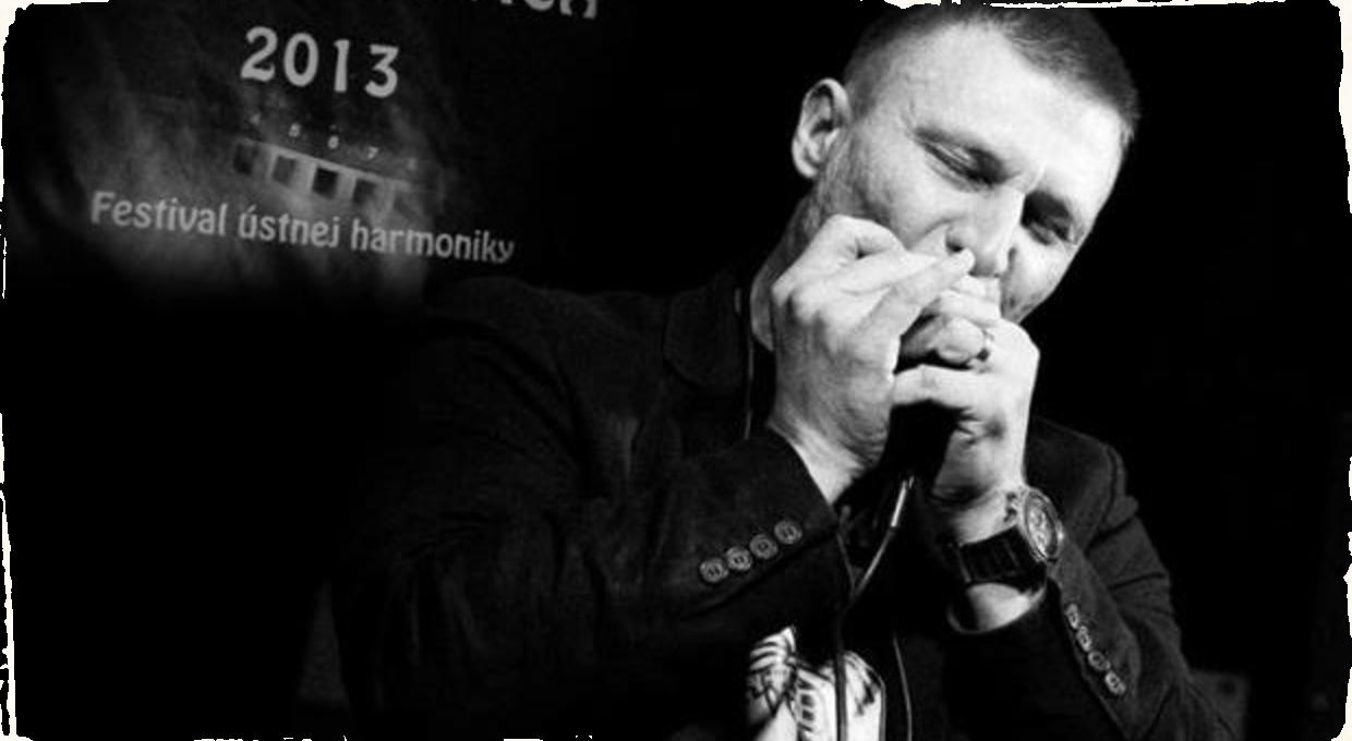 Harmonikovica 2013